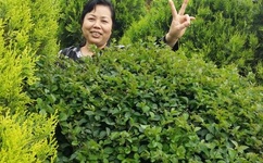 羞羞漫画登录页面免费漫画首页登陆在线入口